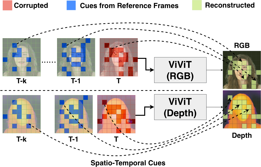 Neural Loss Recovery ViViT Process